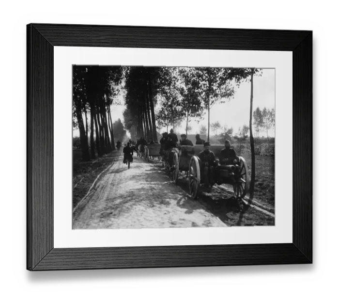 Framed Print : Belgian Army horse drawn gun carriages on a country road in Belgium