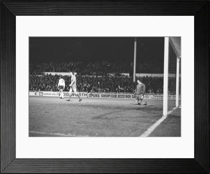 Framed Print : Tottenham Hotspur v Doncaster Rovers league cup quarter final match at White Hart Lane