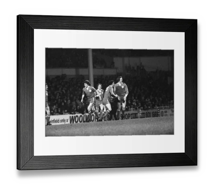 Framed Print : Tottenham Hotspur v Doncaster Rovers league cup quarter final match at White Hart Lane