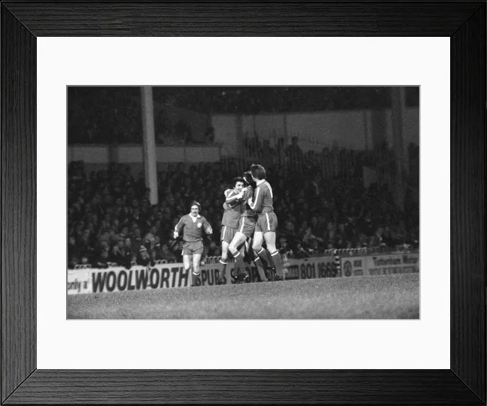 Framed Print : Tottenham Hotspur v Doncaster Rovers league cup quarter final match at White Hart Lane Framed Print : Tottenham Hotspur v Doncaster Rovers league cup quarter final match at White Hart Lane