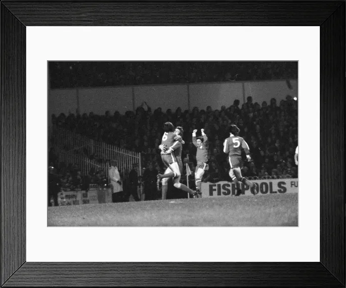 Framed Print : Tottenham Hotspur v Doncaster Rovers league cup quarter final match at White Hart Lane Framed Print : Tottenham Hotspur v Doncaster Rovers league cup quarter final match at White Hart Lane