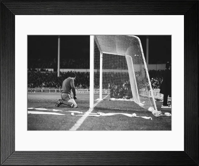 Framed Print : Tottenham Hotspur v Doncaster Rovers league cup quarter final match at White Hart Lane