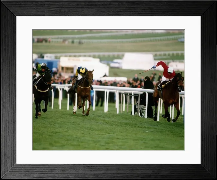 Framed Print : The Fellow wins the Steeple Chase from Jodami and Young Hustler at Cheltenham Festival