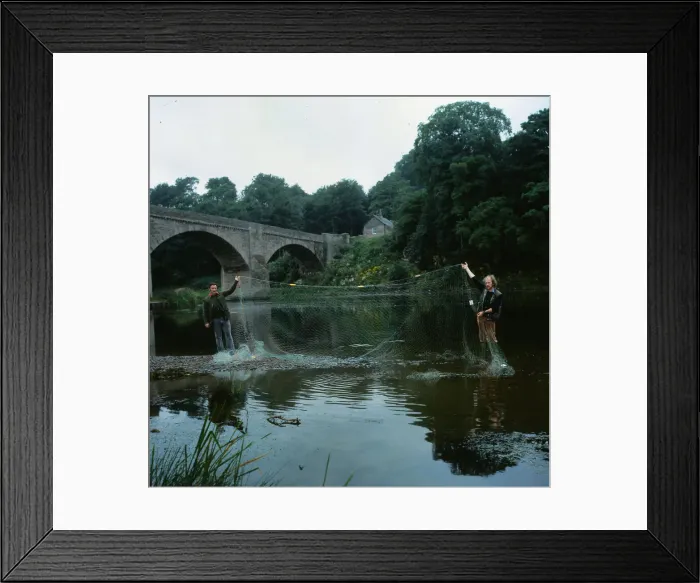 Framed Print : Crime Poaching August 1981 salmon bailiffs on bank of River Tweed holding nets