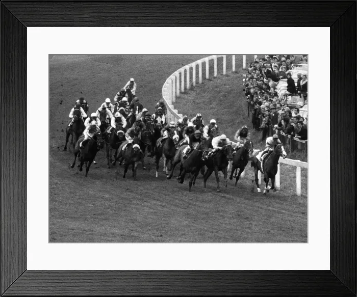 Framed Print : Blakeney in 10th place at Tattenham Corner and the eventual Derby Winner at Epsom - June