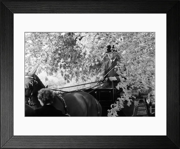 Framed Print : Prince Philip May 1981 At Royal Windsor Horse Show, 7th May 1981 Framed Print : Prince Philip May 1981 At Royal Windsor Horse Show, 7th May 1981