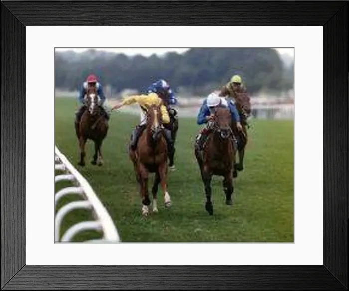  : Rock Hopper right wins the Hardwicke Stakes beating Sapience (left