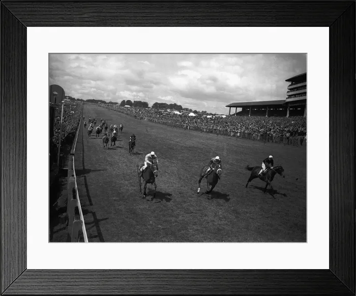 Framed Print : Nimbus (centre) wins the Derby from Armour Brake (right) and Swallow Tail (left Framed Print : Nimbus (centre) wins the Derby from Armour Brake (right) and Swallow Tail (left