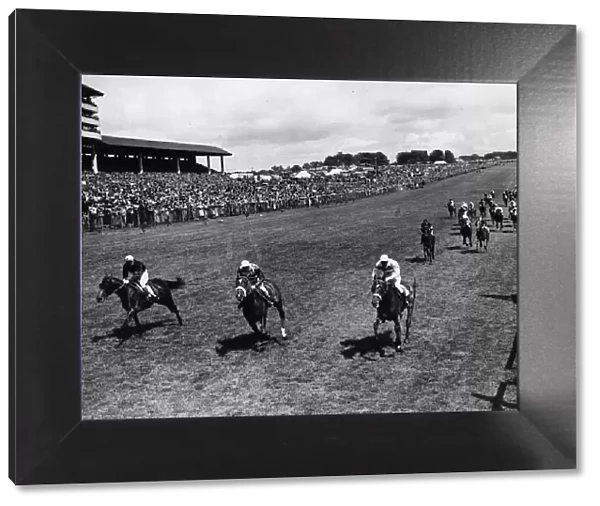 Nimbus (centre) wins Epsom Derby in 1949 with Amour Drake (R) 2nd Swallow Tail (L