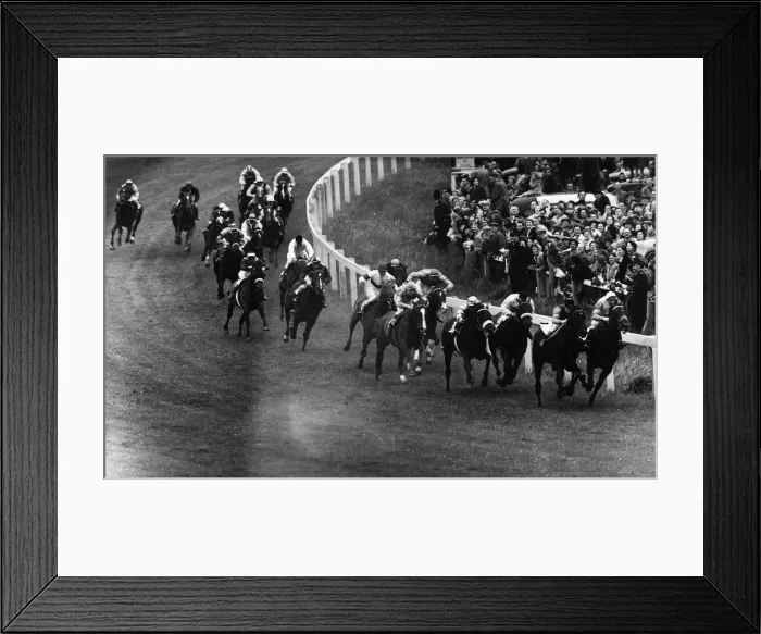 Framed Print : The field round Tattenham Corner in the Epsom Derby, Never Say Die The eventual Derby