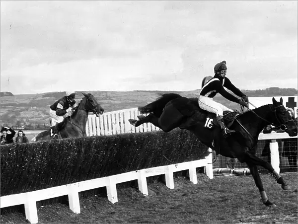 Silver Buck jumps the last on his way to victory in the Cheltenham Gold Cup 27th November