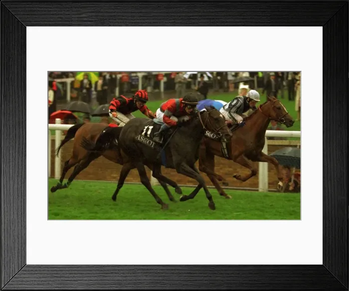 Framed Print : Don t Worry Me (no 11) wins from Titus Livius the Kings Stand Stakes at Royal Ascot Framed Print : Don t Worry Me (no 11) wins from Titus Livius the Kings Stand Stakes at Royal Ascot