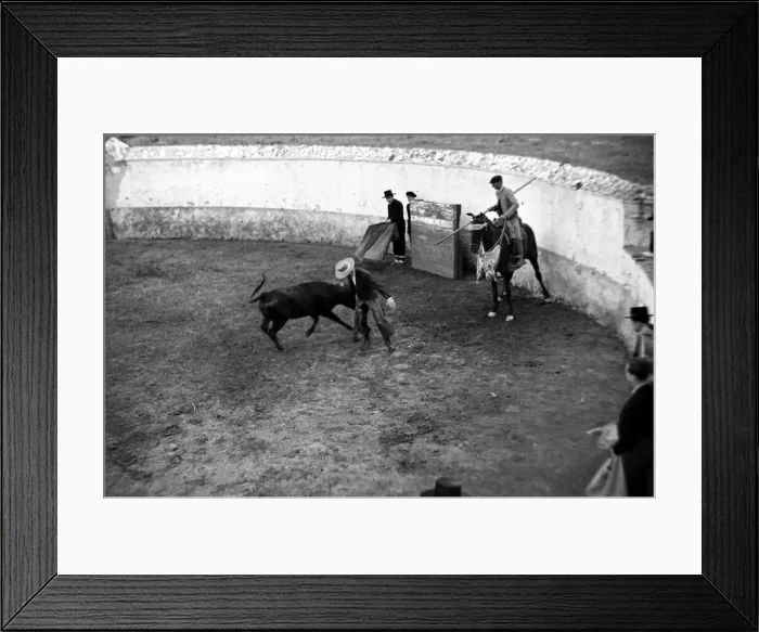 Framed Print : A man riding horse during a bullfight in Seville, Andalusia Circa 1935