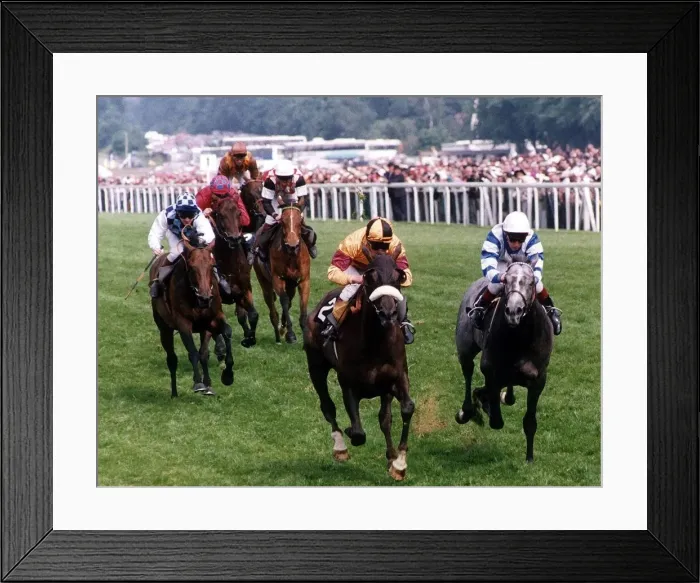Framed Print : Indian Queen with jockey Walter Swinburn (noseband) winning the Gold Cup from Arzanni Framed Print : Indian Queen with jockey Walter Swinburn (noseband) winning the Gold Cup from Arzanni