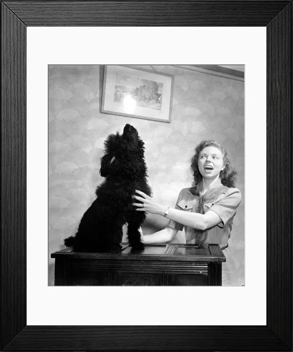 Framed Print : Janet Davis and her Singing Dog November 1951 Framed Print : Janet Davis and her Singing Dog November 1951