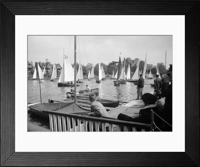 Framed Print : Tamesis Sailing Clubs opening regatta of the season on the Thames at Teddington Framed Print : Tamesis Sailing Clubs opening regatta of the season on the Thames at Teddington