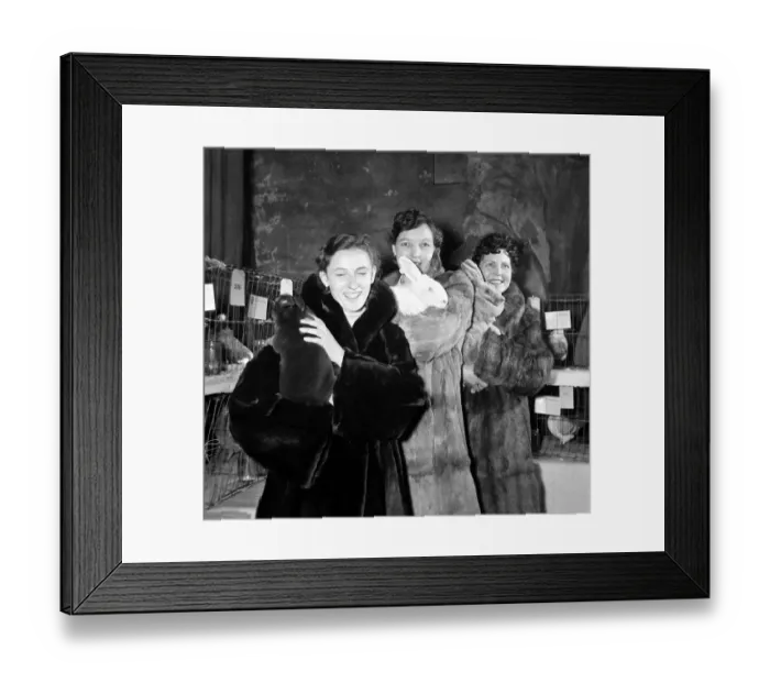 Framed Print : Women wearing fur coats and holding new Zealand white rabbits