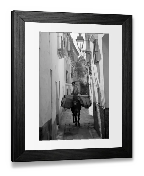 Framed Print : A local man riding on the back of a donkey through the narrow back streets of Seville in Framed Print : A local man riding on the back of a donkey through the narrow back streets of Seville in