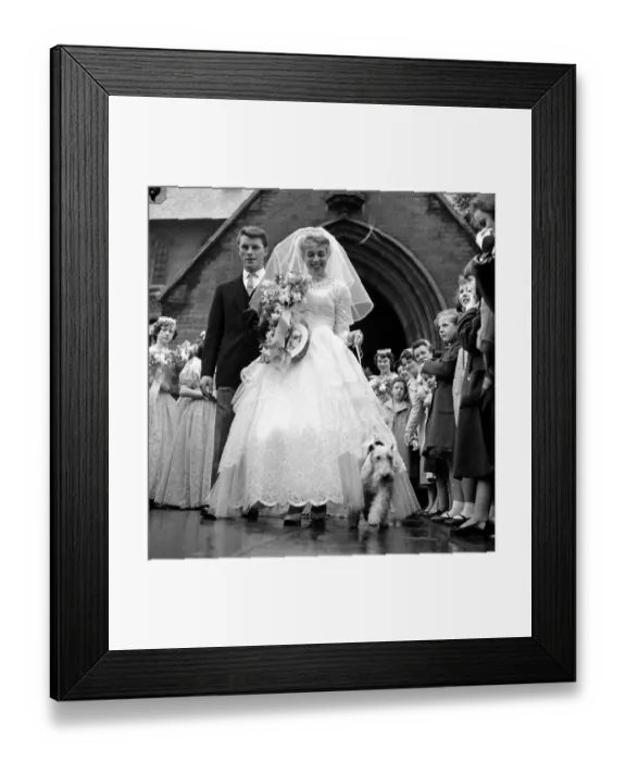 Framed Print : Diana Capel with her pet fox terrier Champ at her wedding at St Michaels Church in