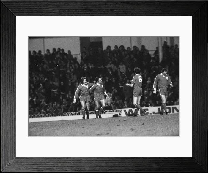Framed Print : Tottenham Hotspur v Doncaster Rovers league cup quarter final match at White Hart Lane Framed Print : Tottenham Hotspur v Doncaster Rovers league cup quarter final match at White Hart Lane