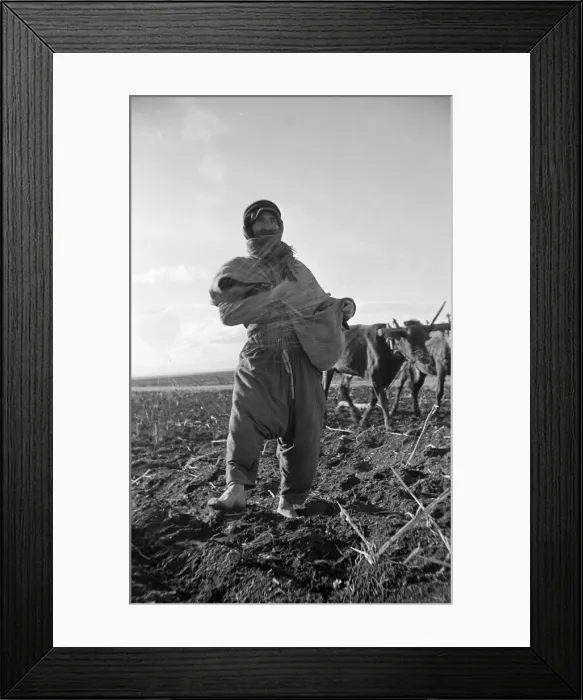 Framed Print : A Arab farming sowing grain close to the River Jordan Palastine. Circa 1935
