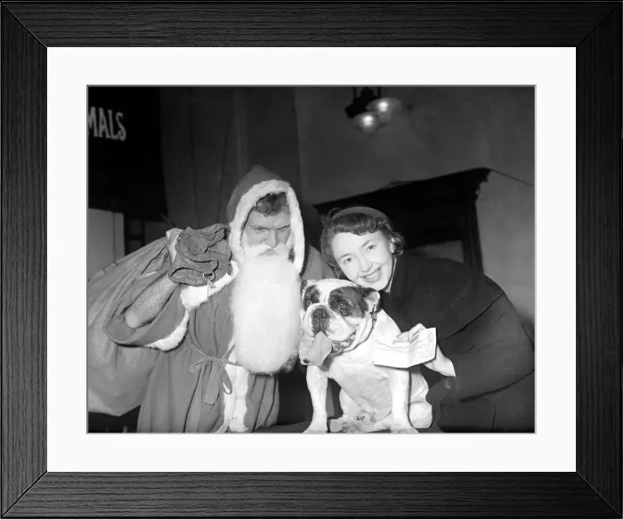 Framed Print : Actress Dulcie Gray recieves a cheque from a bulldog watched by Major F N L Chapman
