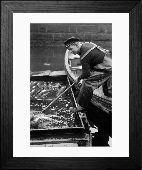 Framed Print : Scene from Copenhagens fish market Fisherman in Copenhagen Framed Print : Scene from Copenhagens fish market Fisherman in Copenhagen