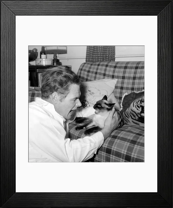 Framed Print : Alex Kerr with his Siamese cat December 1957 Framed Print : Alex Kerr with his Siamese cat December 1957