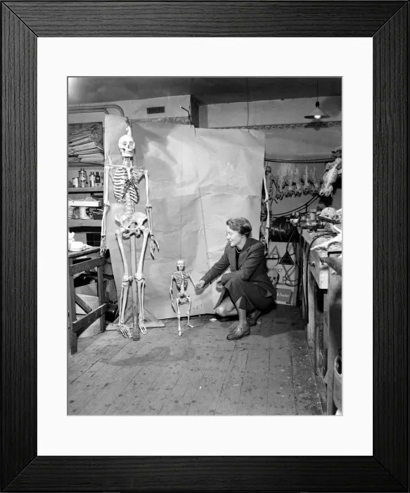 Framed Print : TW Fazakerley - Skeleton Maker December 1957 Framed Print : TW Fazakerley - Skeleton Maker December 1957