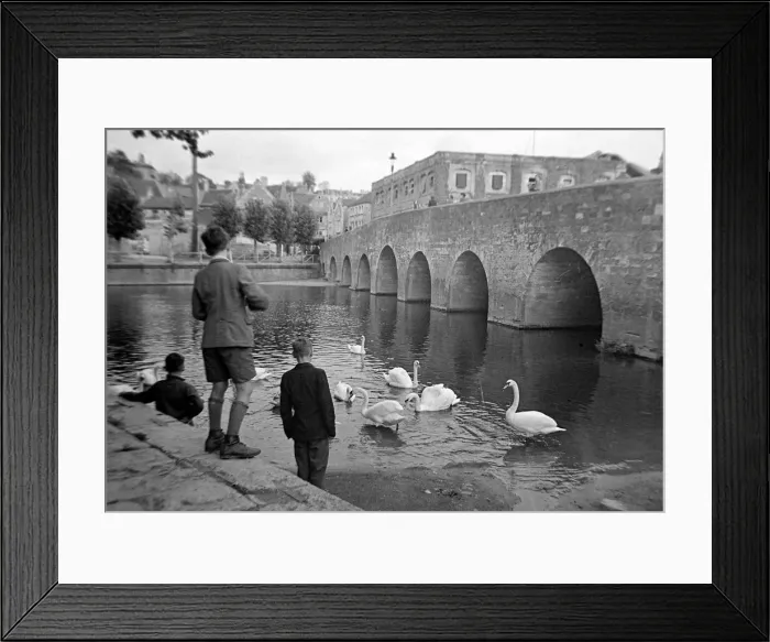 Framed Print : Children feeding swans at Bradford on Avon October 1943 Framed Print : Children feeding swans at Bradford on Avon October 1943