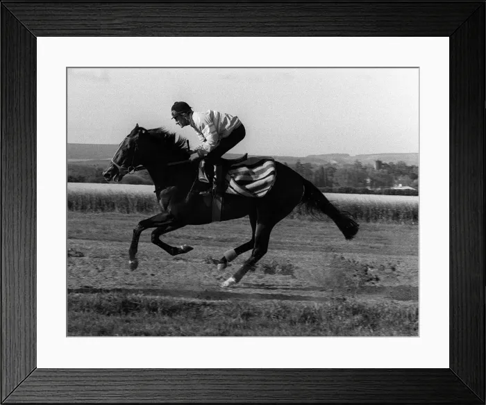 Framed Print : Dancing Brave and jockey Greville Starkey in May 1986 on the gallops Framed Print : Dancing Brave and jockey Greville Starkey in May 1986 on the gallops