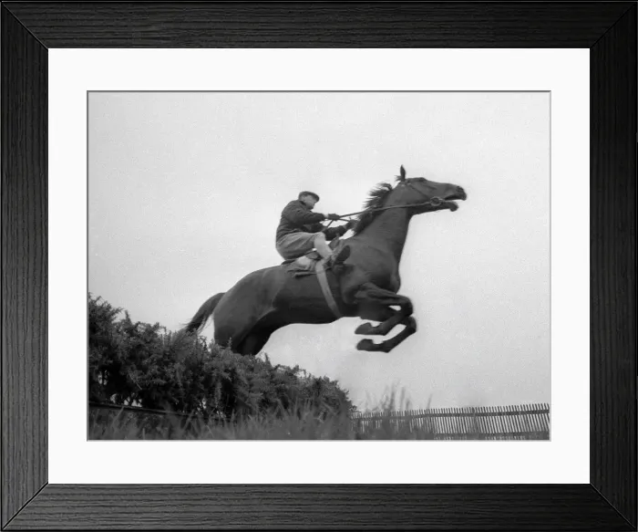 Framed Print : Arkle seen training for the 1966 Cheltenham Gold Cup - March 1966
