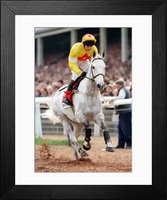 Framed Print : One Man and Brian Harding go to post for the 1998 Champion Chase at the Cheltenham Framed Print : One Man and Brian Harding go to post for the 1998 Champion Chase at the Cheltenham
