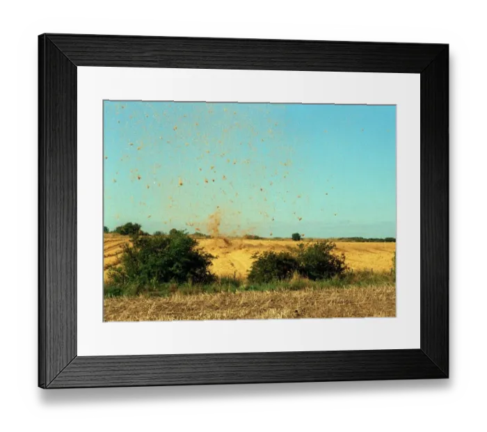 Framed Print : A field near Tranent hit by tornado August 1999 straw is scattered by wind Framed Print : A field near Tranent hit by tornado August 1999 straw is scattered by wind