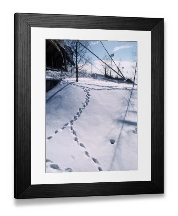 Framed Print : Footprints in the snow, Weather Winter Snow Scenes