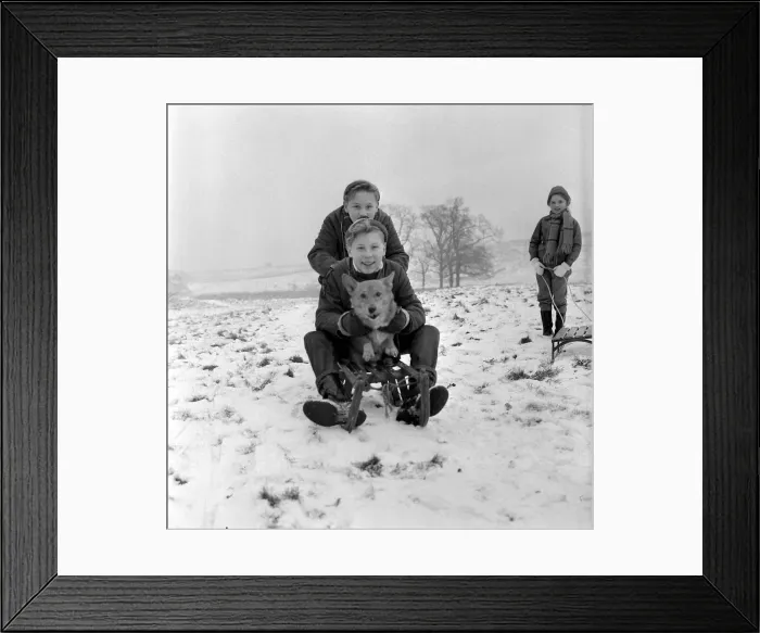 Framed Print : Weather - Snow - Cold Twins Frank and Kenneth Wilkinson of Stockport brought their