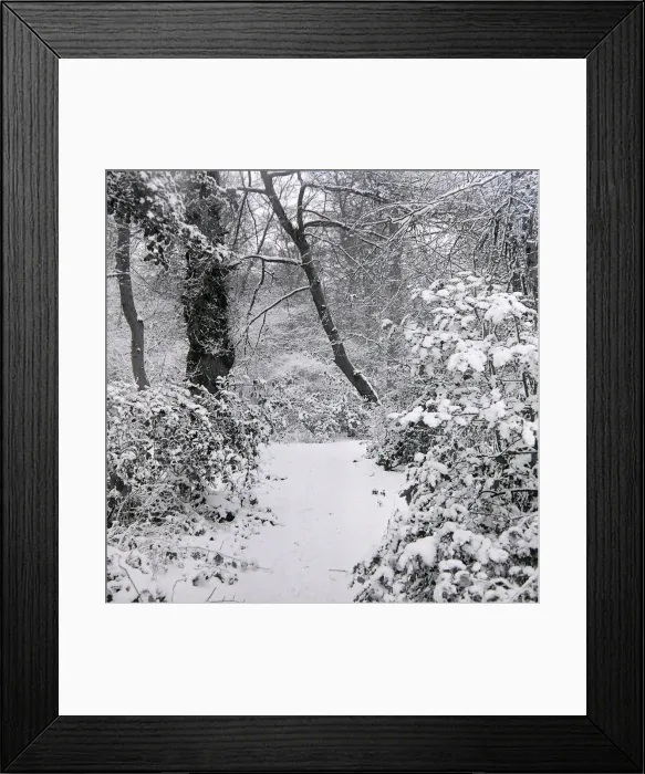Framed Print : Children sledging in the snow in and around Hadley Wood Hertfordshire Framed Print : Children sledging in the snow in and around Hadley Wood Hertfordshire