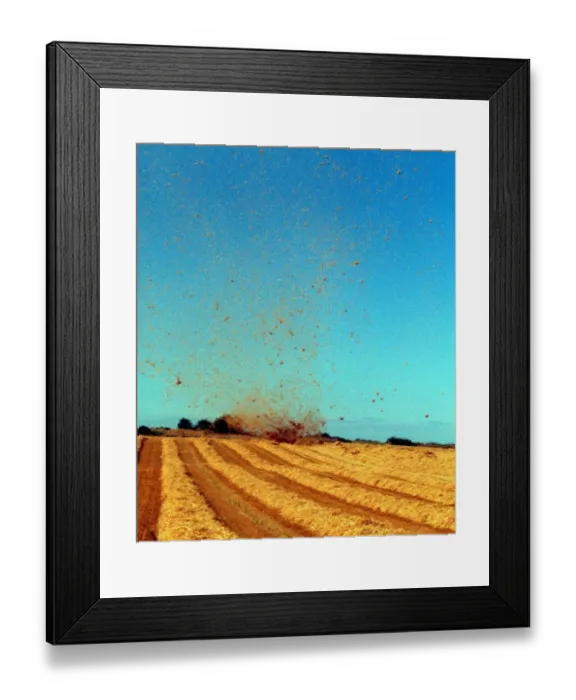 Framed Print : A field near Tranent hit by tornado August 1999 straw is scattered by wind Framed Print : A field near Tranent hit by tornado August 1999 straw is scattered by wind