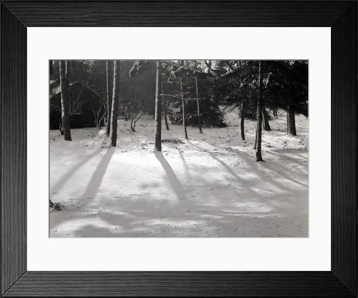 Framed Print : Wintery scene in a park in Hertfordshire weather seasons winter snow snowy