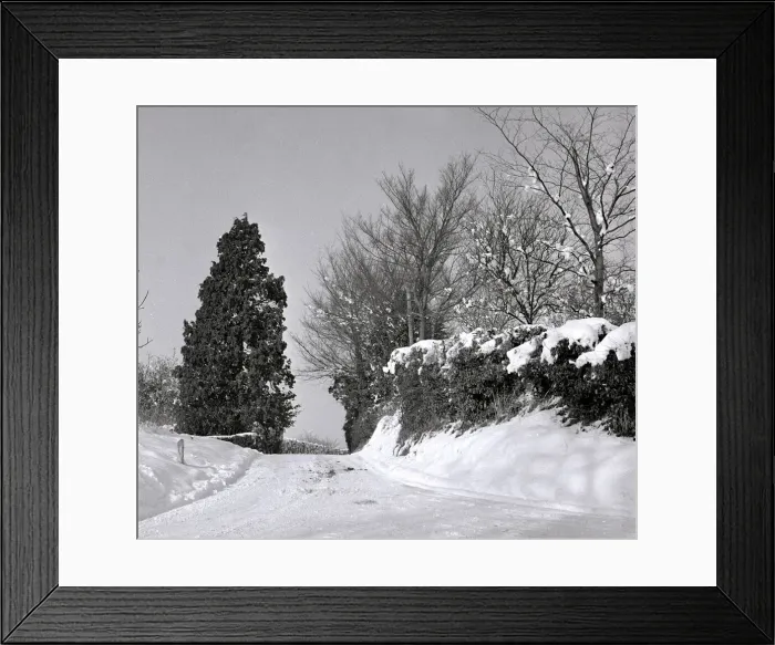 Framed Print : Snow scene at Sandy Hatch lane near Ashford Hertfordshire Pathway path Framed Print : Snow scene at Sandy Hatch lane near Ashford Hertfordshire Pathway path