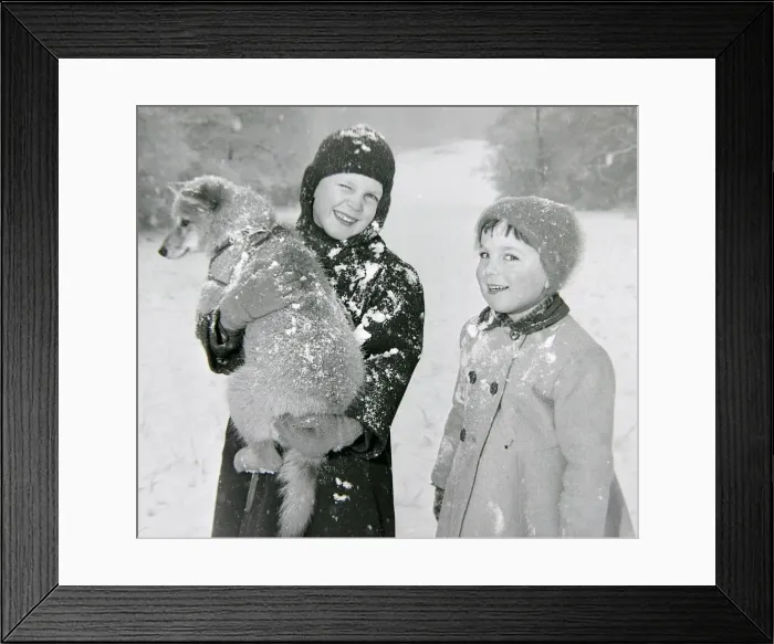 Framed Print : Children sledging in the snow in and around Hadley Wood Framed Print : Children sledging in the snow in and around Hadley Wood