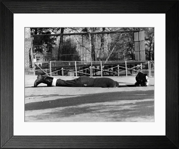 Framed Print : Photography Humour When there a supply of water needed to the animals Framed Print : Photography Humour When there a supply of water needed to the animals