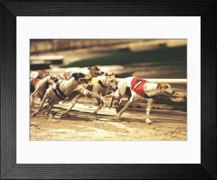 Framed Print : Lydpal Frankie November 1998 leads out of the first bend from Lady Flyaway Framed Print : Lydpal Frankie November 1998 leads out of the first bend from Lady Flyaway