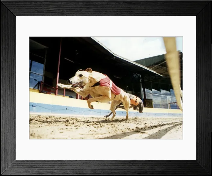 Framed Print : Start Afresh at Wimbledon May 1995 Framed Print : Start Afresh at Wimbledon May 1995