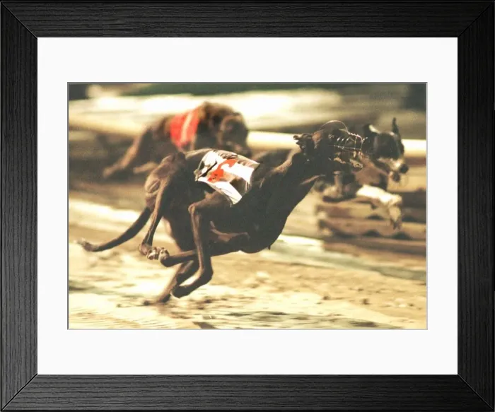 Framed Print : Let Me Run November 1998 on the way to giving Brian Clemenson his third