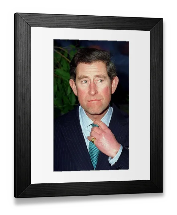 Framed Print : Prince Charles biting lip lips mouth closed
