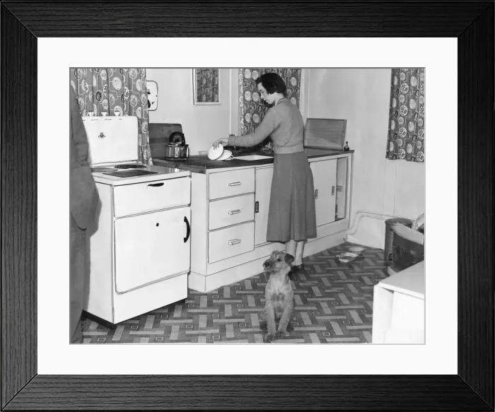 Framed Print : The latest in Kitchen at the Royal Show held in Newcastle - Fido the dog is obvisiously Framed Print : The latest in Kitchen at the Royal Show held in Newcastle - Fido the dog is obvisiously