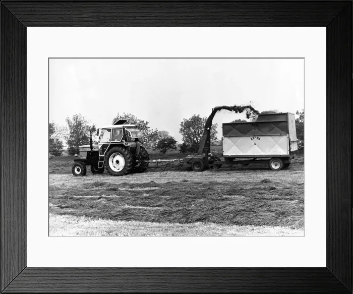 Framed Print : A JF forager havester making easy work of front-cut silage on a Border farm