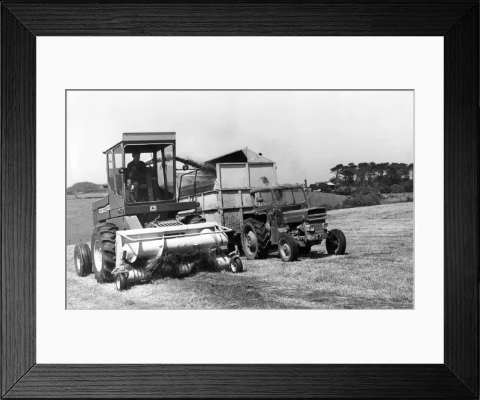 Framed Print : A small grass cutter harvesting some cattle feed on a farm in the 1970s Framed Print : A small grass cutter harvesting some cattle feed on a farm in the 1970s