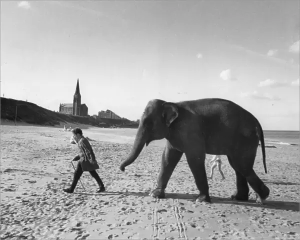 Robert Raven walks an elephant on the beach at Tynemouth from Gerry Cottle Circus